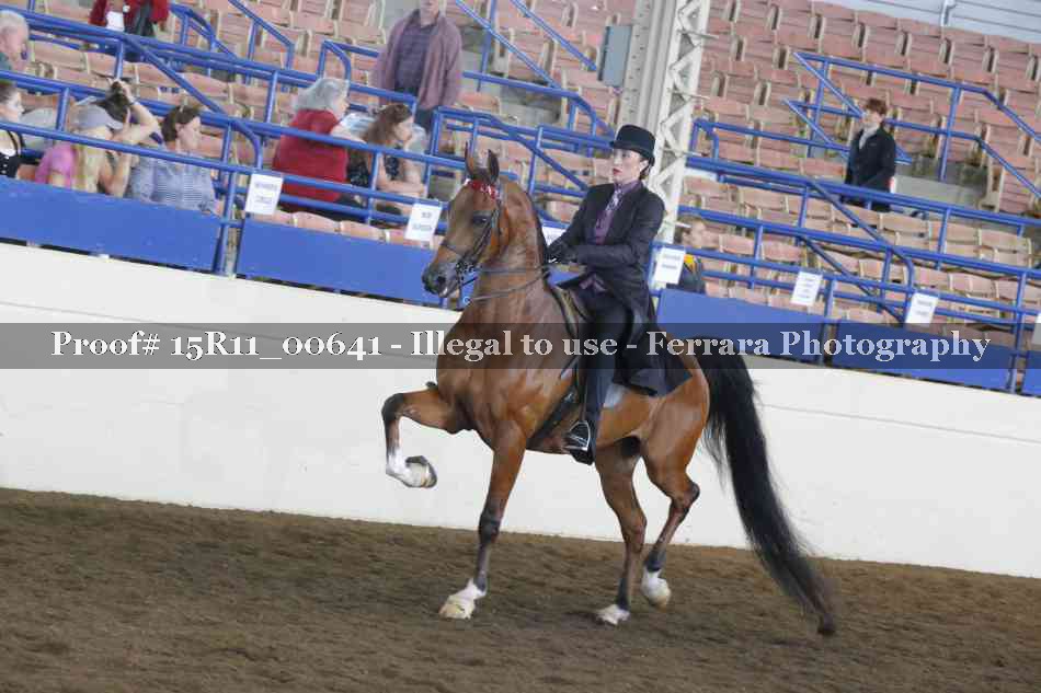 Proof 15R11_00641
