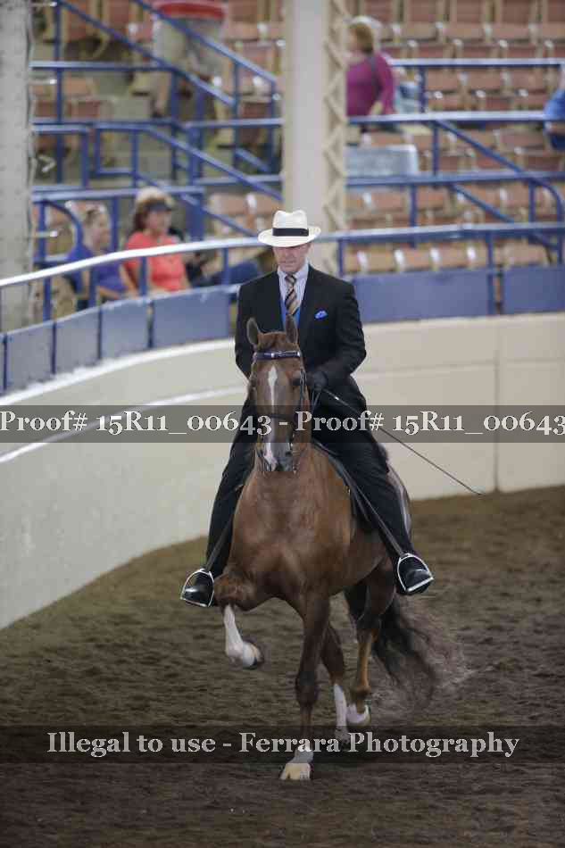 Proof 15R11_00643