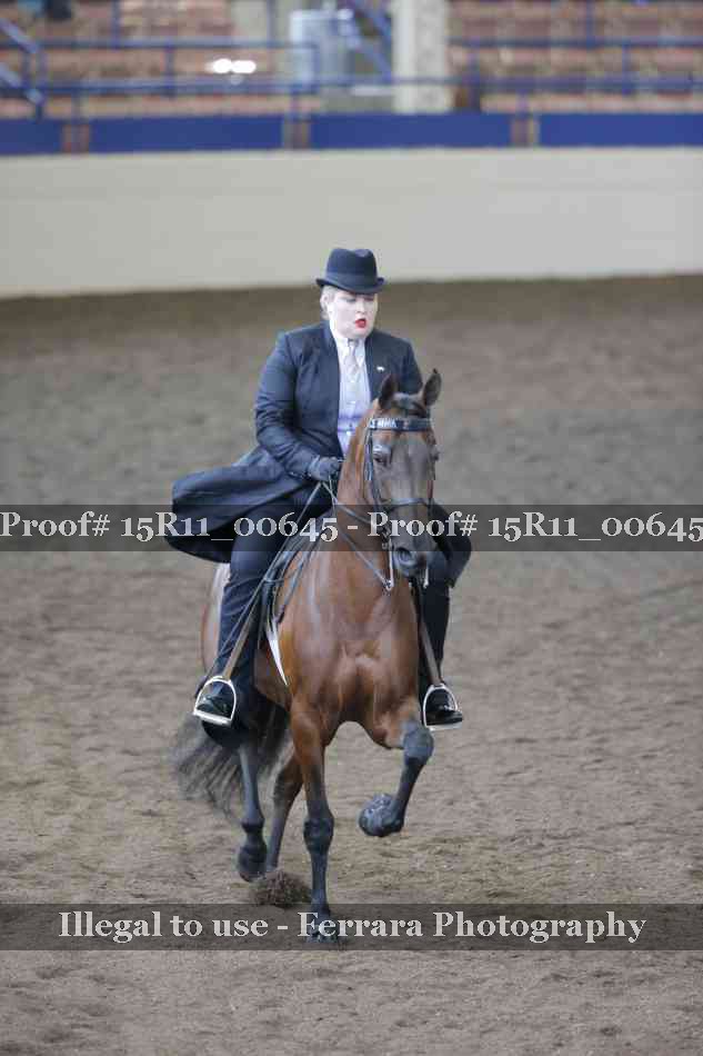 Proof 15R11_00645