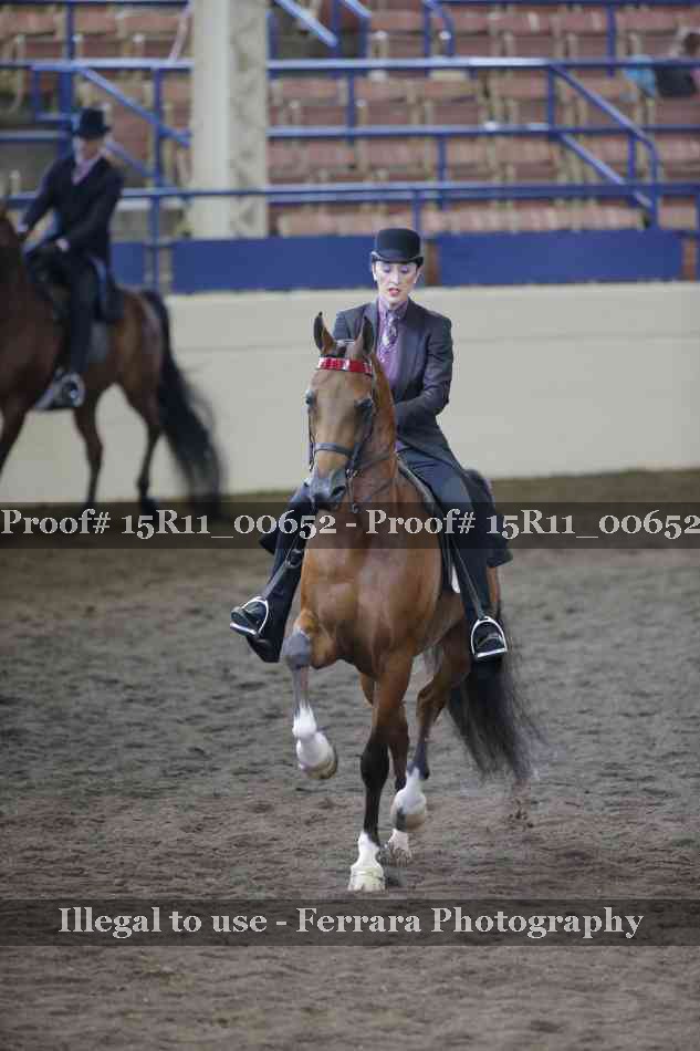 Proof 15R11_00652