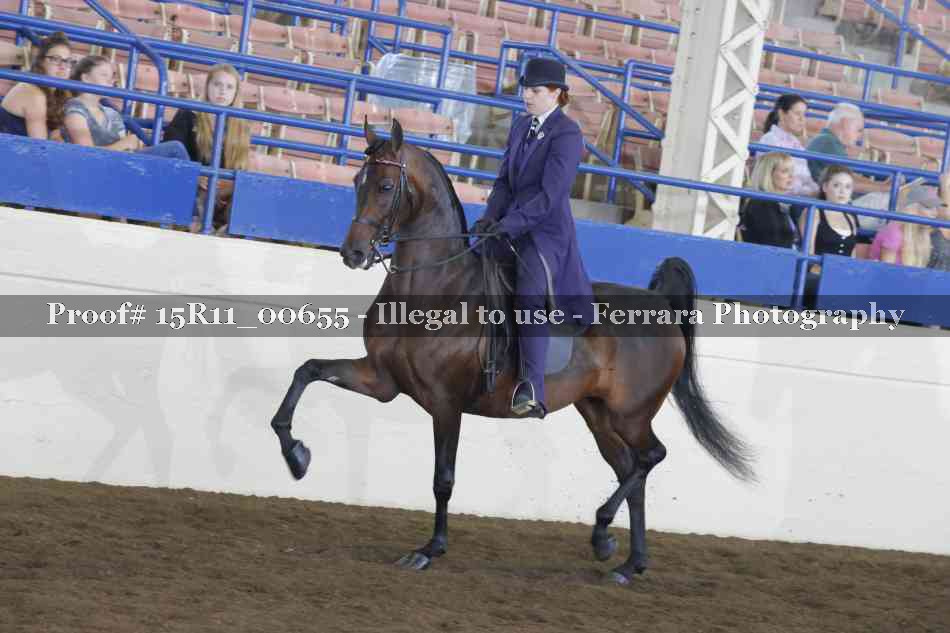 Proof 15R11_00655