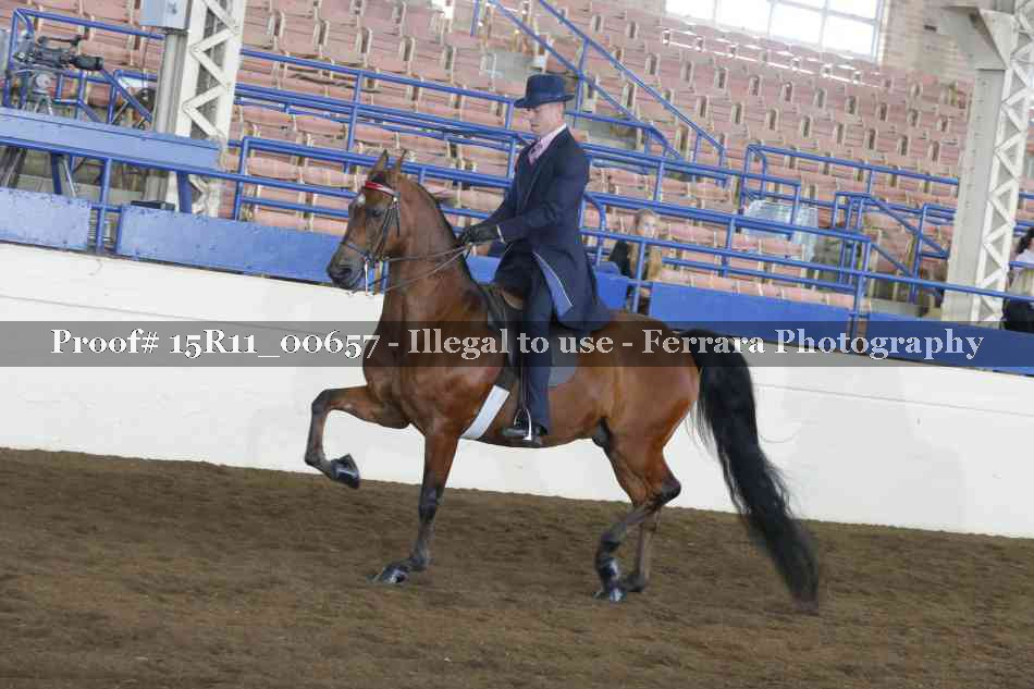 Proof 15R11_00657