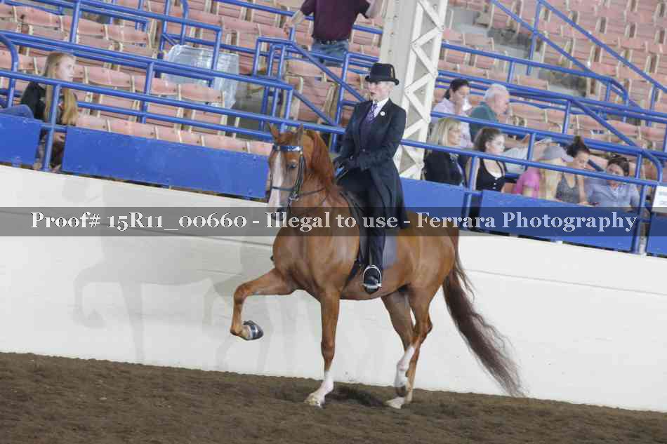 Proof 15R11_00660