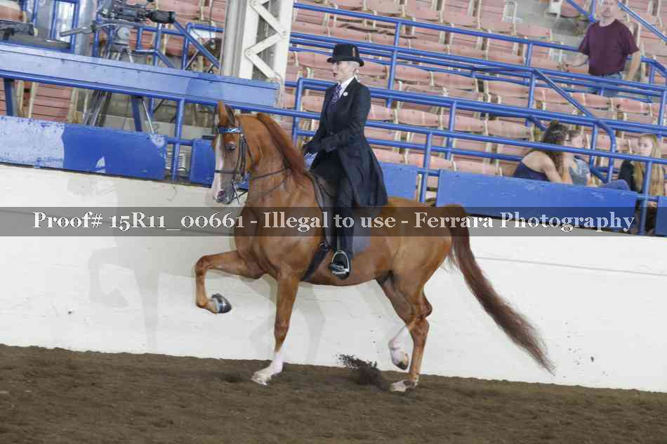 Proof 15R11_00661