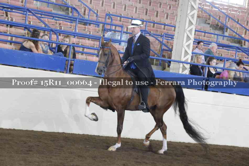 Proof 15R11_00664