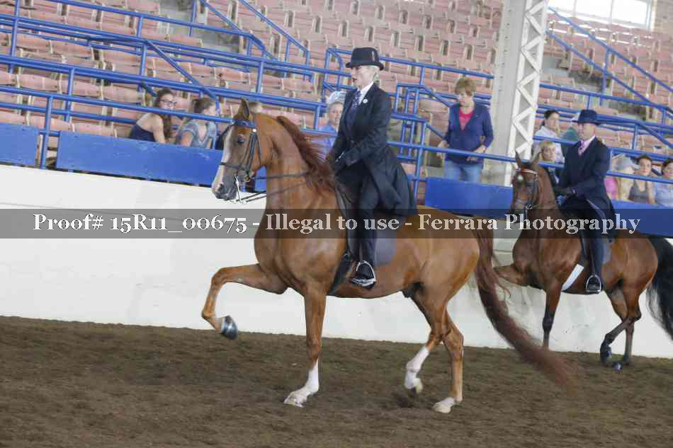 Proof 15R11_00675