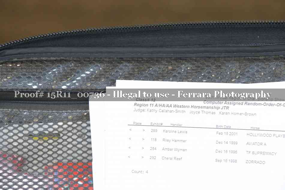 Proof 15R11_00736