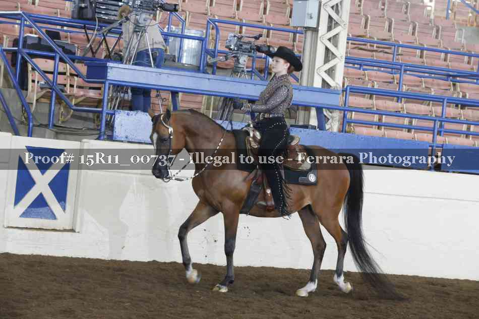 Proof 15R11_00737