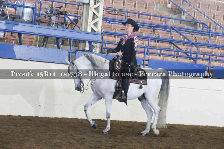 Proof 15R11_00738