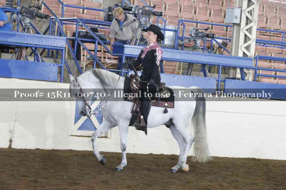 Proof 15R11_00740
