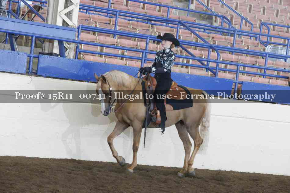 Proof 15R11_00741