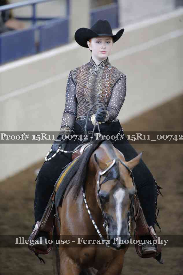 Proof 15R11_00742