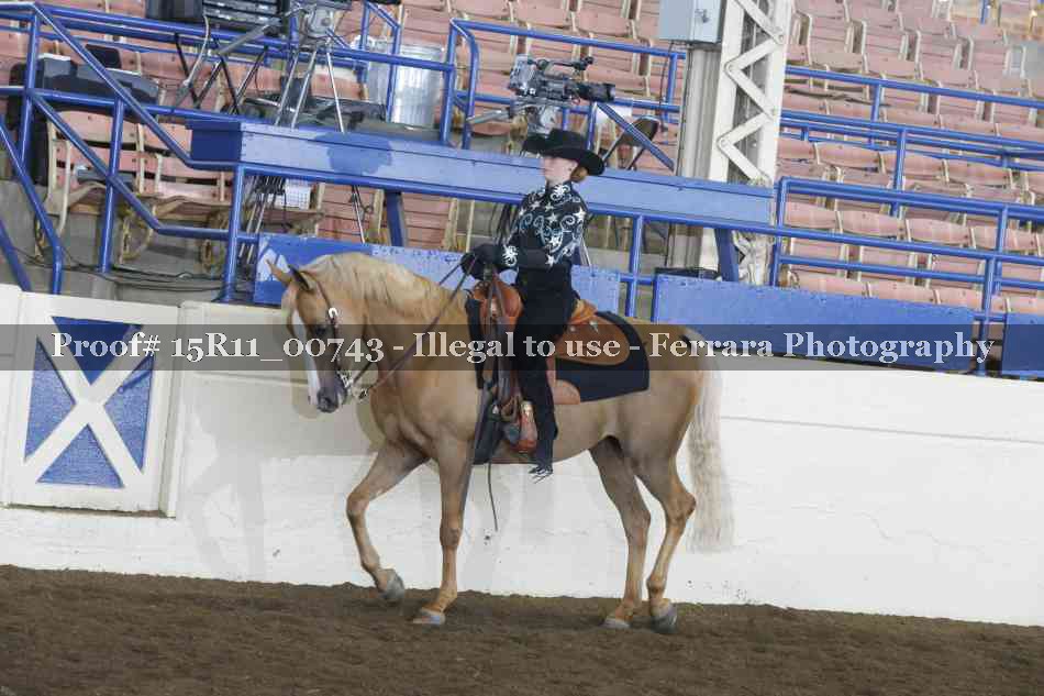 Proof 15R11_00743