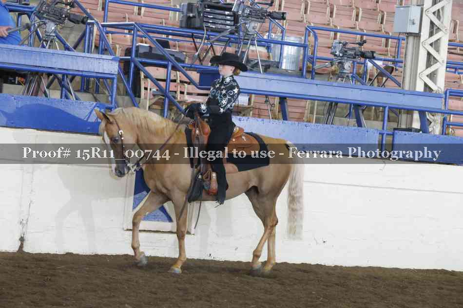 Proof 15R11_00744