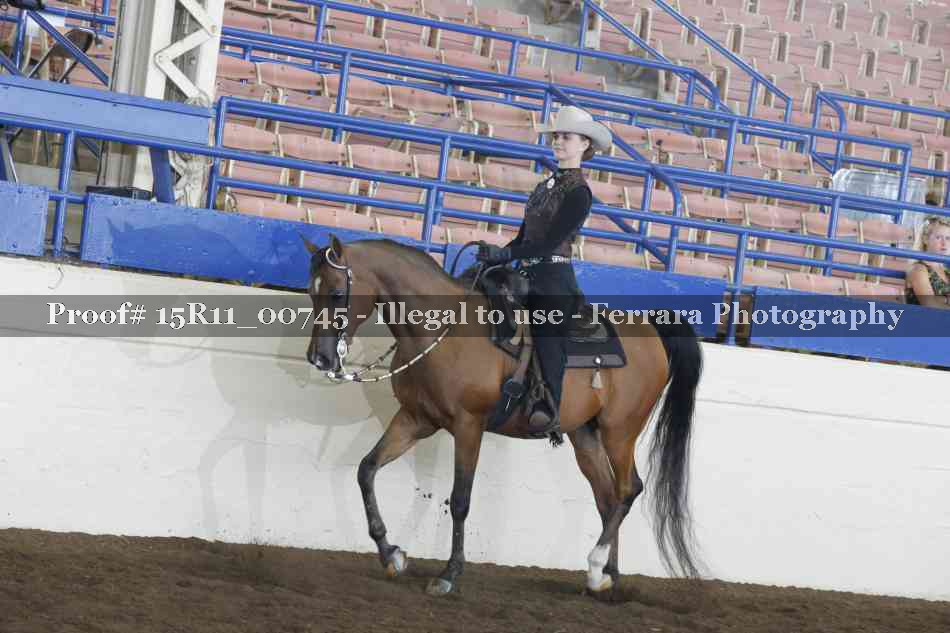 Proof 15R11_00745