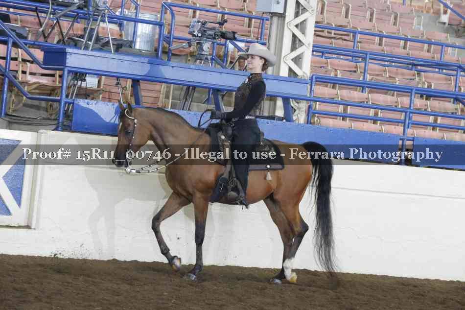Proof 15R11_00746
