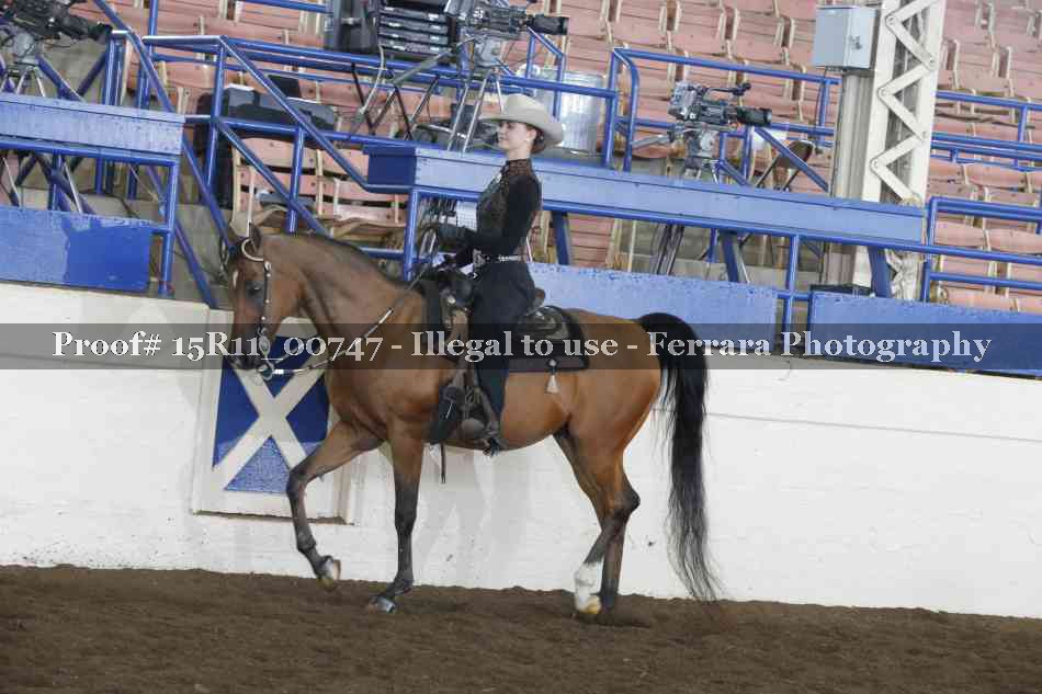 Proof 15R11_00747