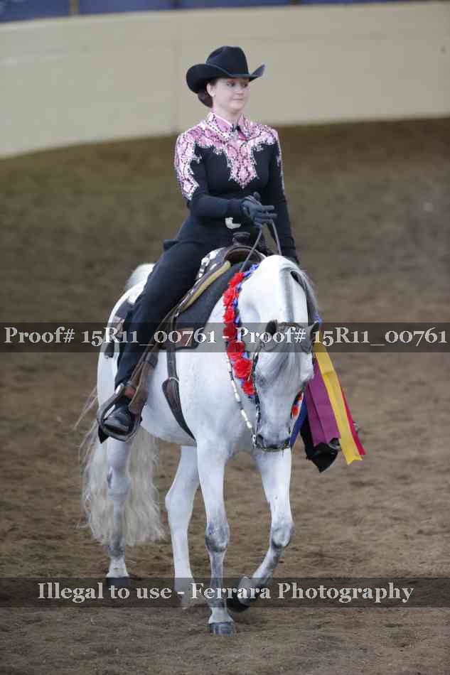 Proof 15R11_00761