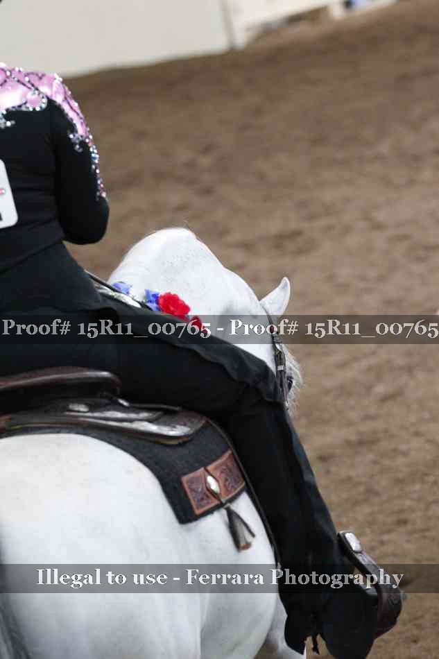 Proof 15R11_00765