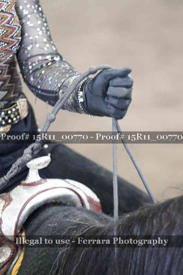 Proof 15R11_00770