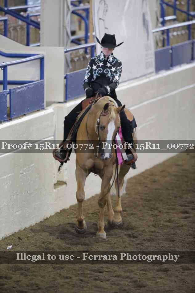Proof 15R11_00772