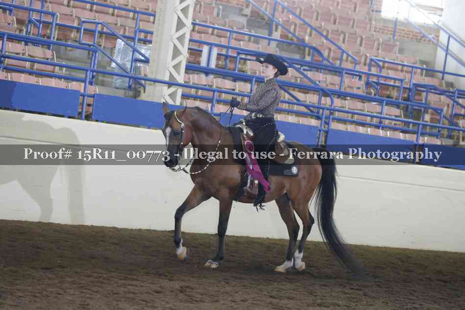 Proof 15R11_00773