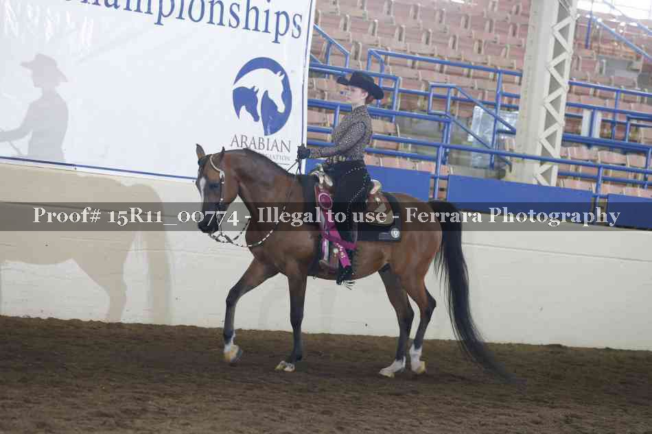 Proof 15R11_00774