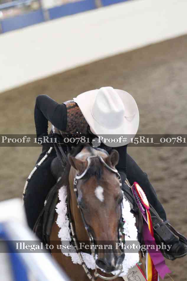 Proof 15R11_00781