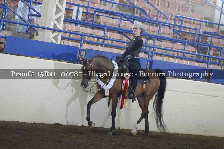 Proof 15R11_00787