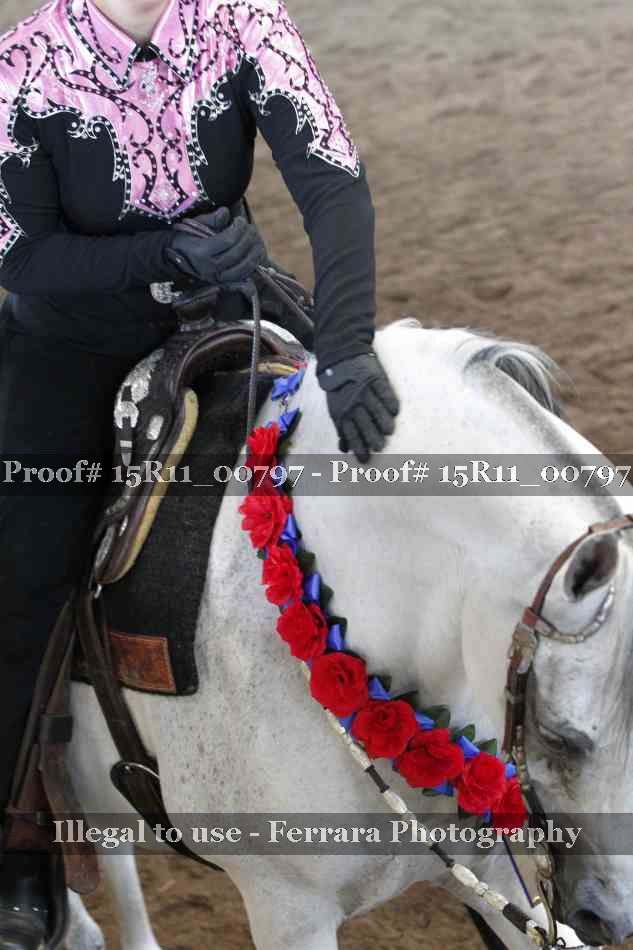 Proof 15R11_00797