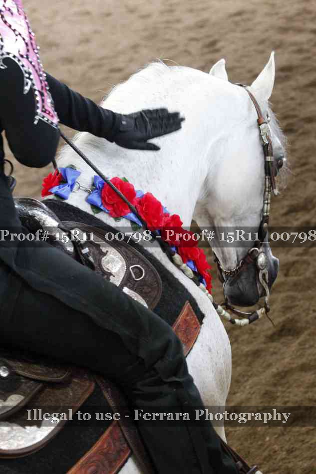Proof 15R11_00798