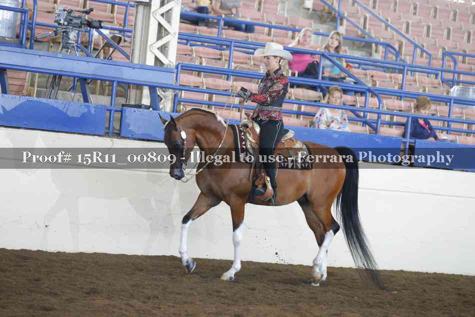 Proof 15R11_00809
