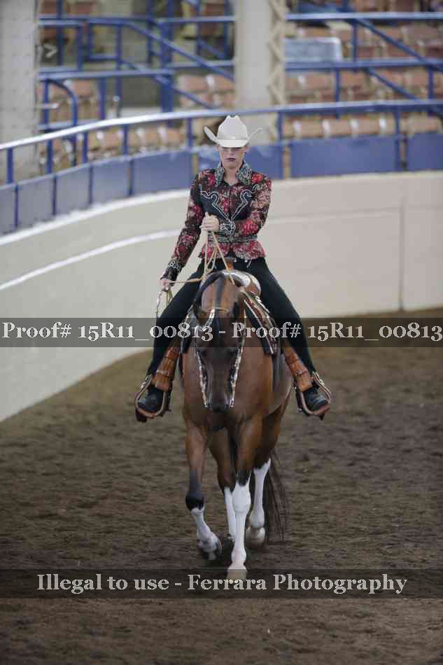 Proof 15R11_00813