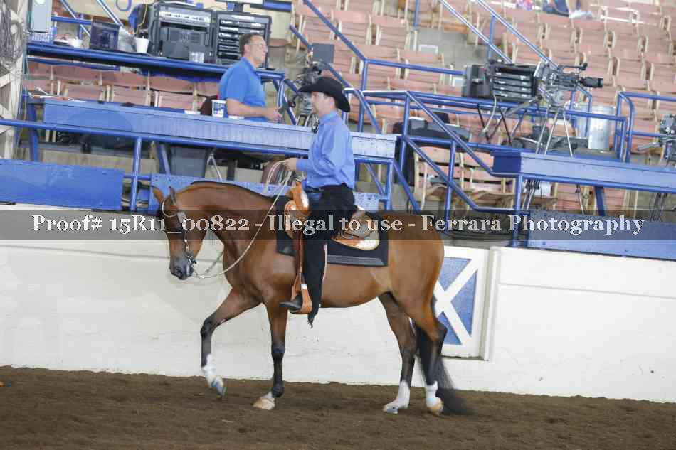 Proof 15R11_00822