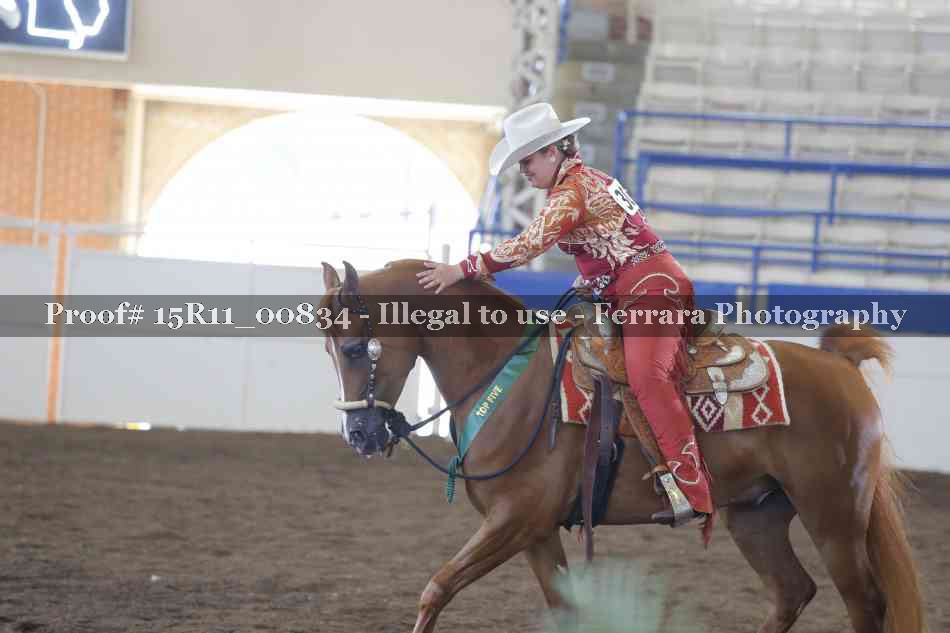 Proof 15R11_00834