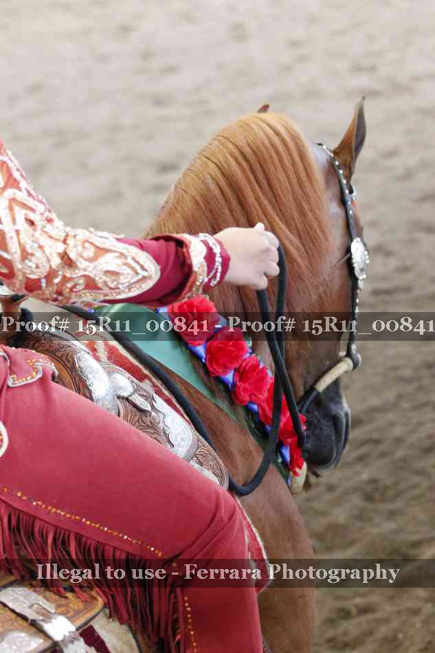 Proof 15R11_00841