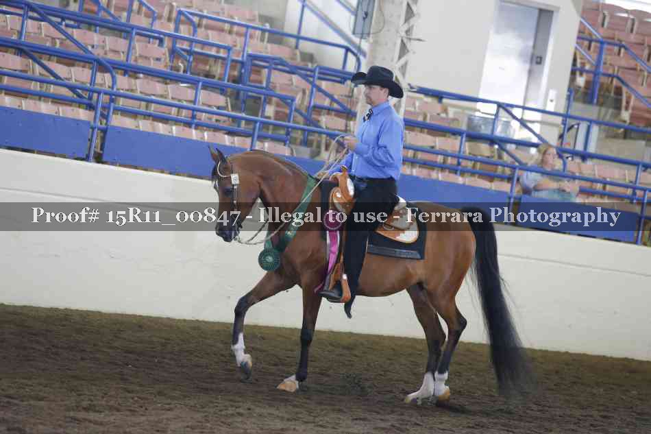 Proof 15R11_00847