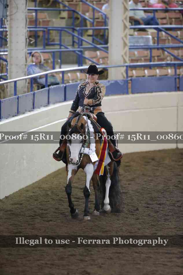 Proof 15R11_00860