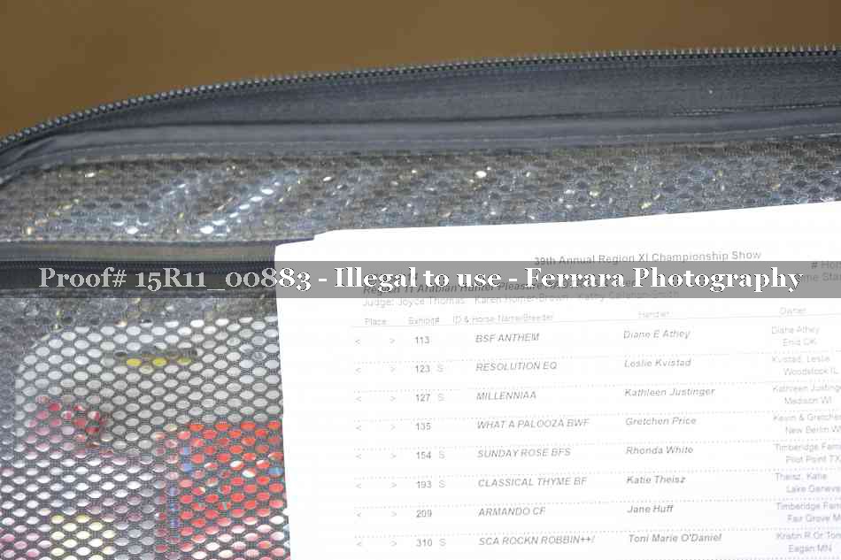 Proof 15R11_00883