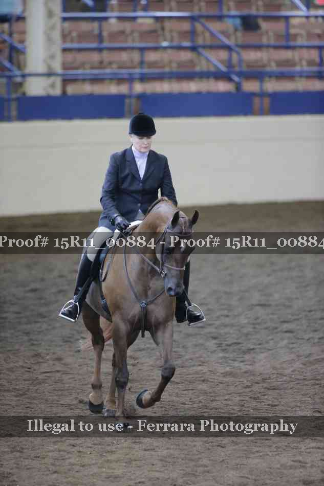 Proof 15R11_00884