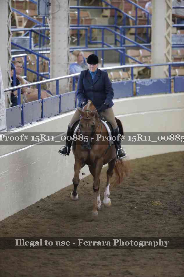 Proof 15R11_00885