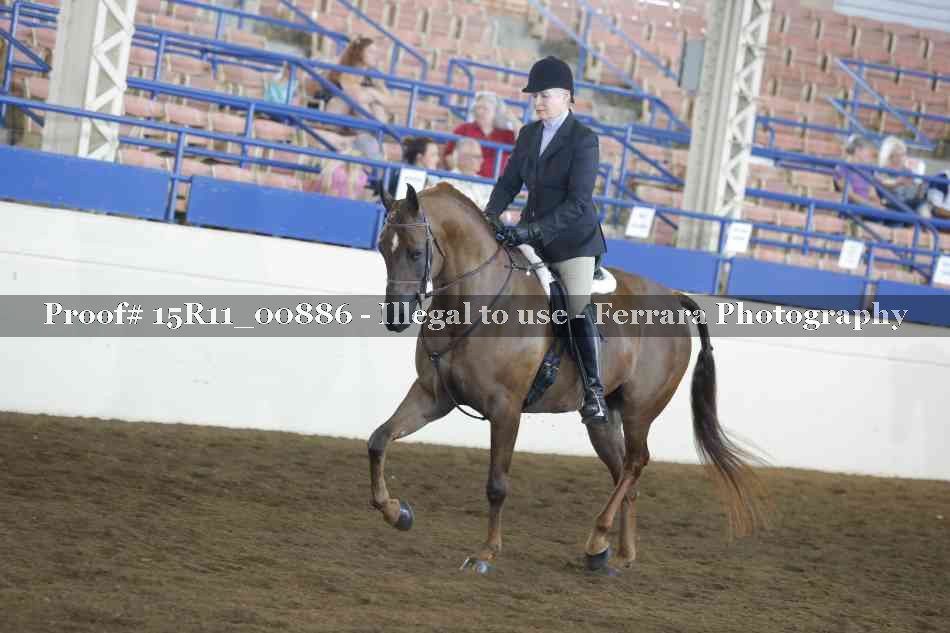 Proof 15R11_00886