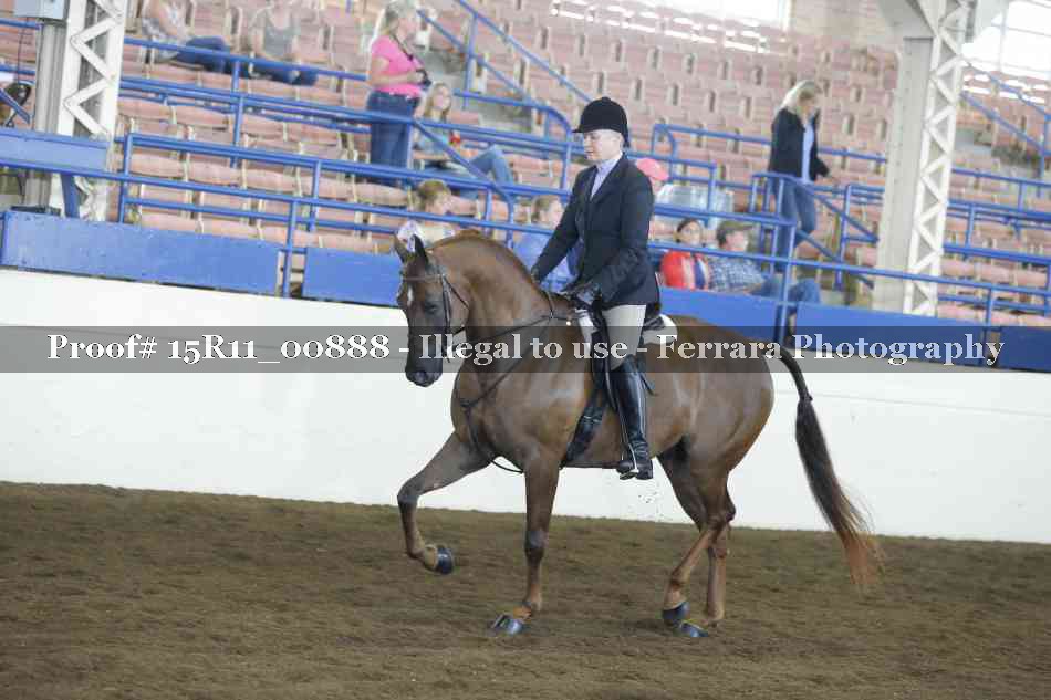 Proof 15R11_00888