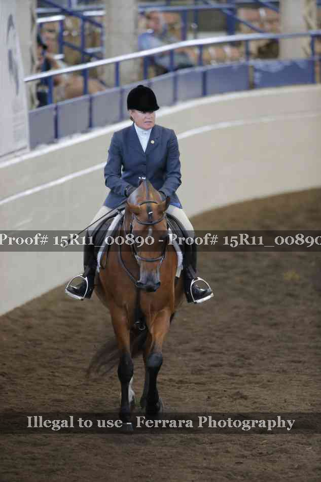 Proof 15R11_00890