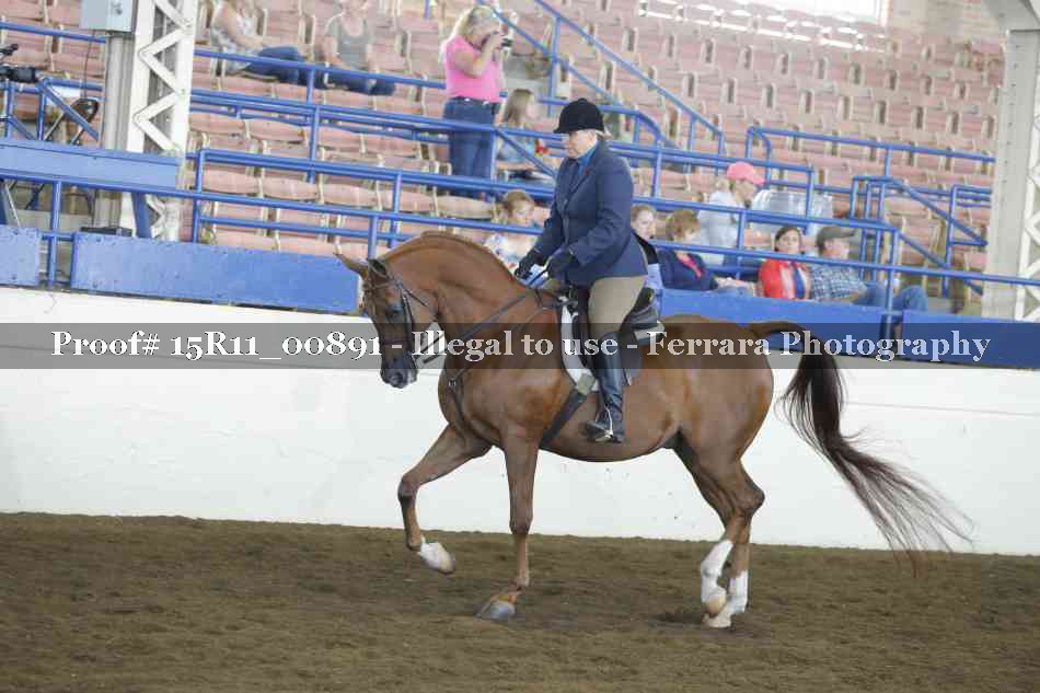 Proof 15R11_00891