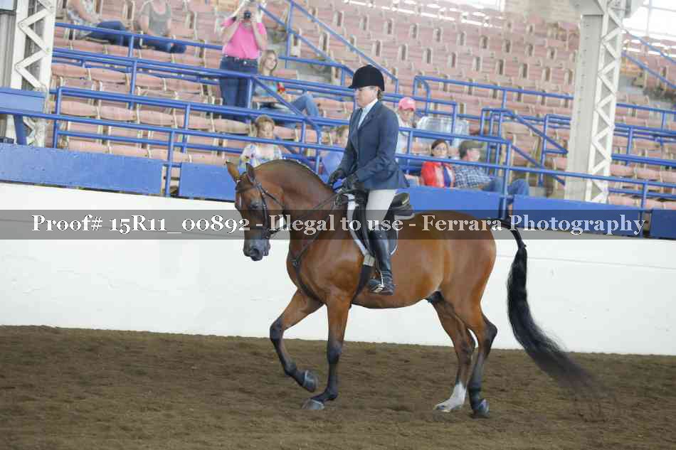 Proof 15R11_00892