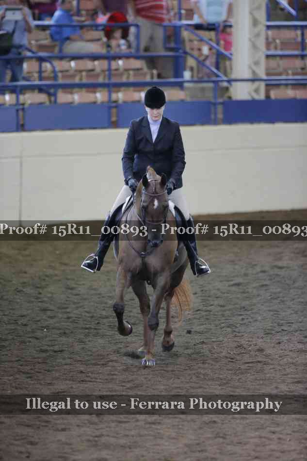 Proof 15R11_00893