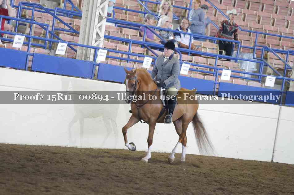 Proof 15R11_00894