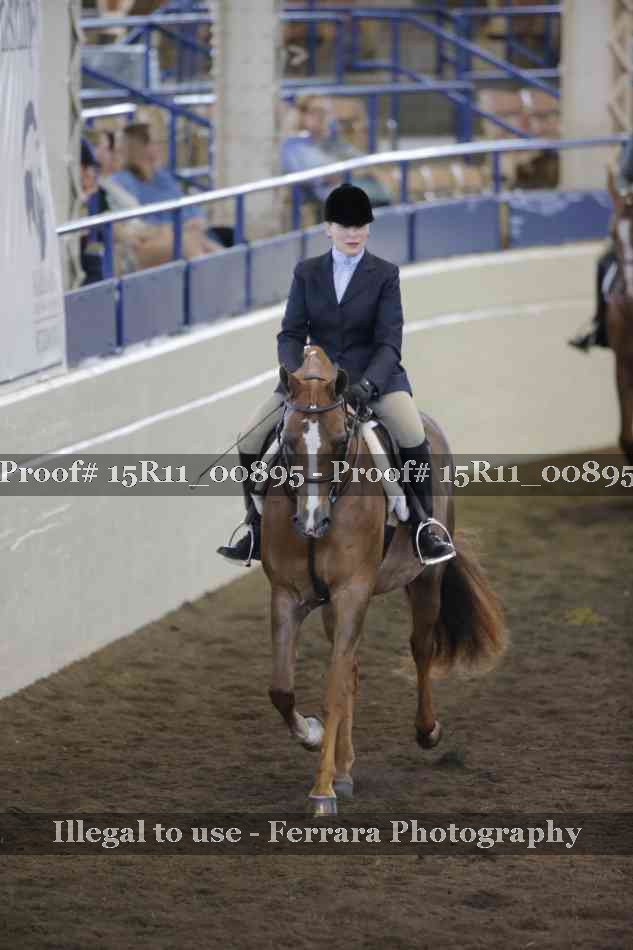 Proof 15R11_00895