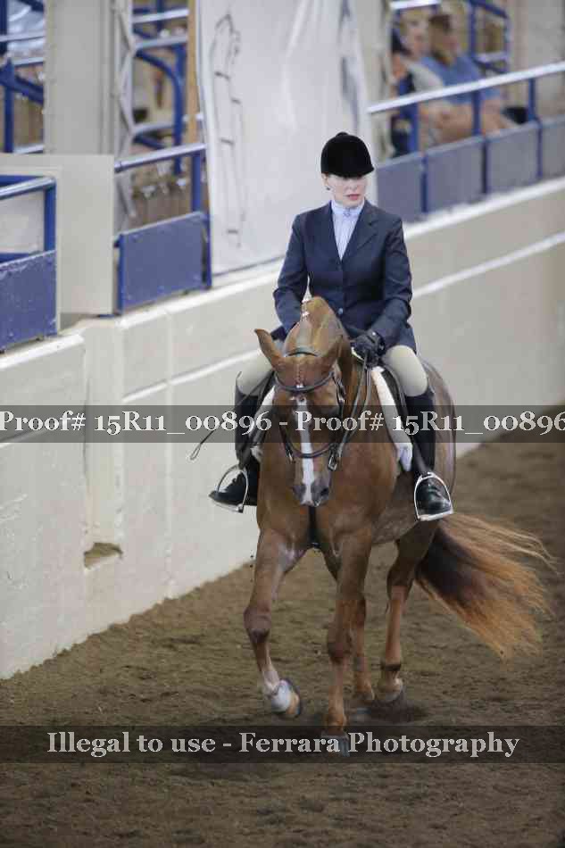 Proof 15R11_00896